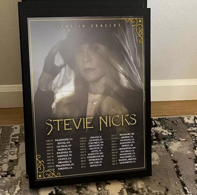 Stevie Nicks Tour US 2023 Poster - Walmart.com