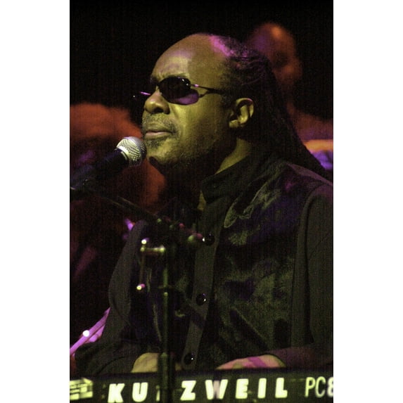Stevie Wonder performing Photo Print (8 x 10)