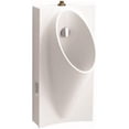 thumbnail image 1 of Steward Hybrid High-Efficiency Urinal with Top Spud, White - 0.75 in., 1 of 1