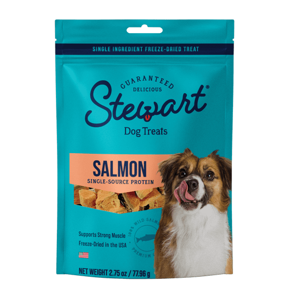 Stewart Freeze-Dried Salmon Training Treats for Dogs, 2.75 oz Pouch