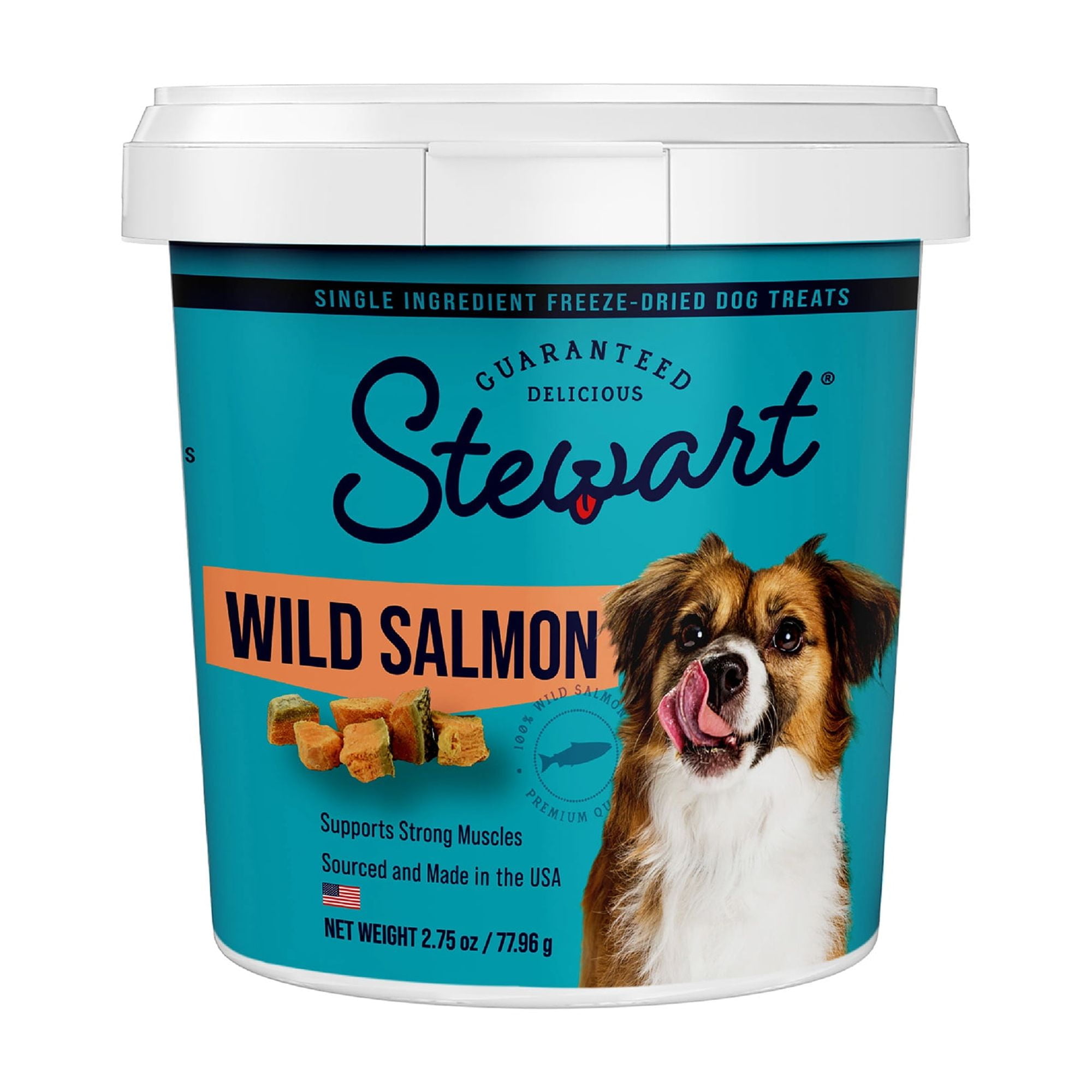 STEWART PRO-TREAT Stewart Freeze Dried Salmon - 2.75 oz Tub