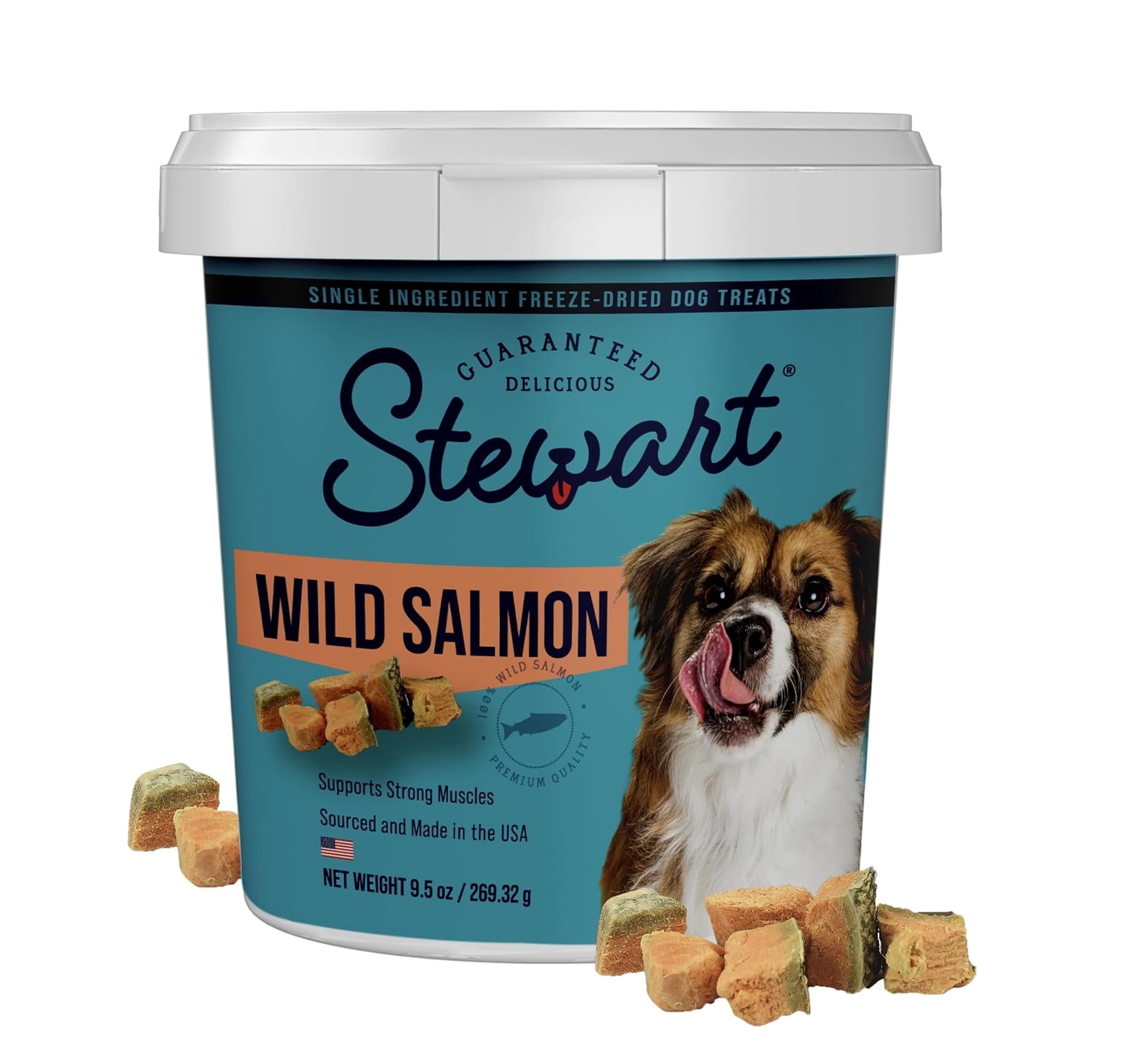 Stewart Freeze Dried Salmon Dog Treats, 9.5 oz Tub