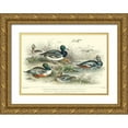 thumbnail image 1 of Stewart, J. 18x14 Gold Ornate Wood Framed with Double Matting Museum Art Print Titled - Duck Varieties, 1 of 4