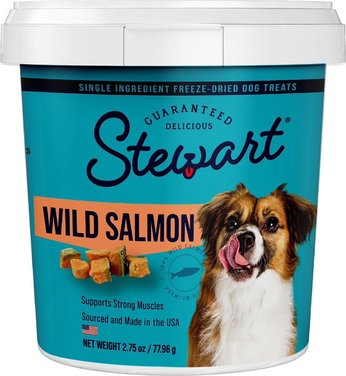 STEWART PRO-TREAT Stewart Freeze Dried Salmon - 2.75 oz Tub