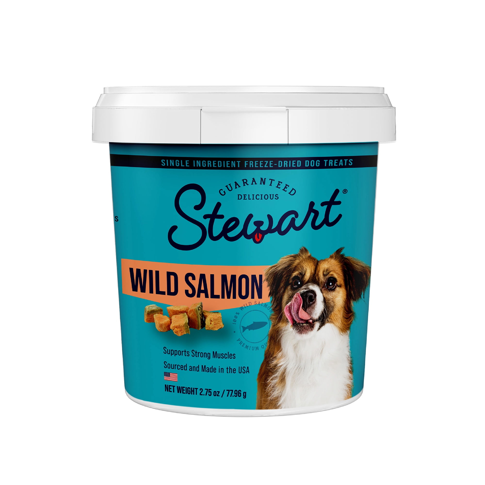 STEWART PRO-TREAT Stewart Freeze Dried Salmon - 2.75 oz Tub