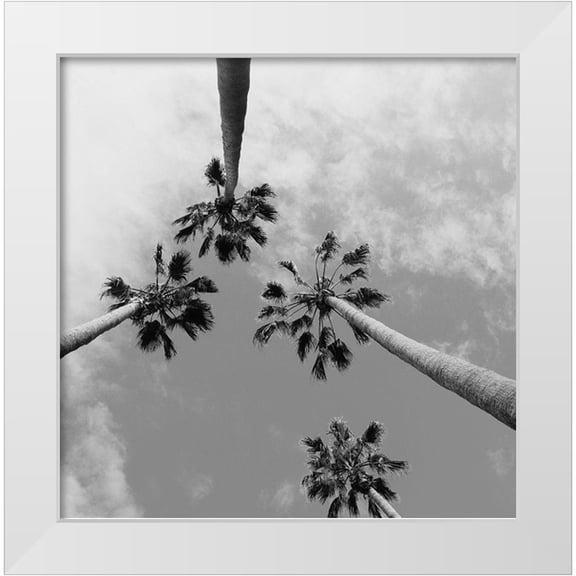 Stewart, Wil 12x12 White Modern Wood Framed Museum Art Print Titled - Tropical Gaze