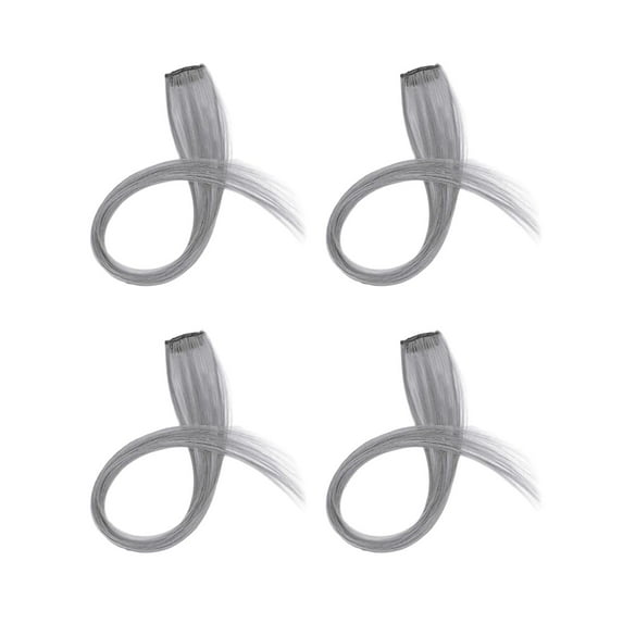 Stgfyxgs 4 Pieces Hanging Ear Dyed Clip in Hair Extensions Seamless for Women Long Straight Hair Single Color for party Gray