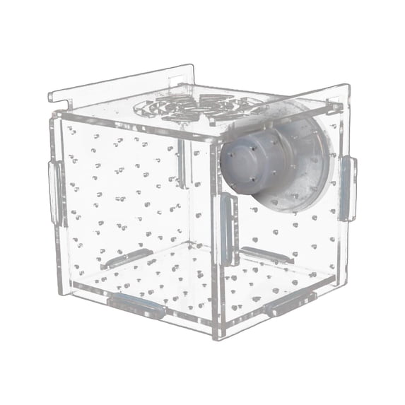 Stgfyxgs Breeding Box, Breeding Box, Transparent Suction Cup Square Aquarium Supply for Newborn Young 8cmx8cmx8cm