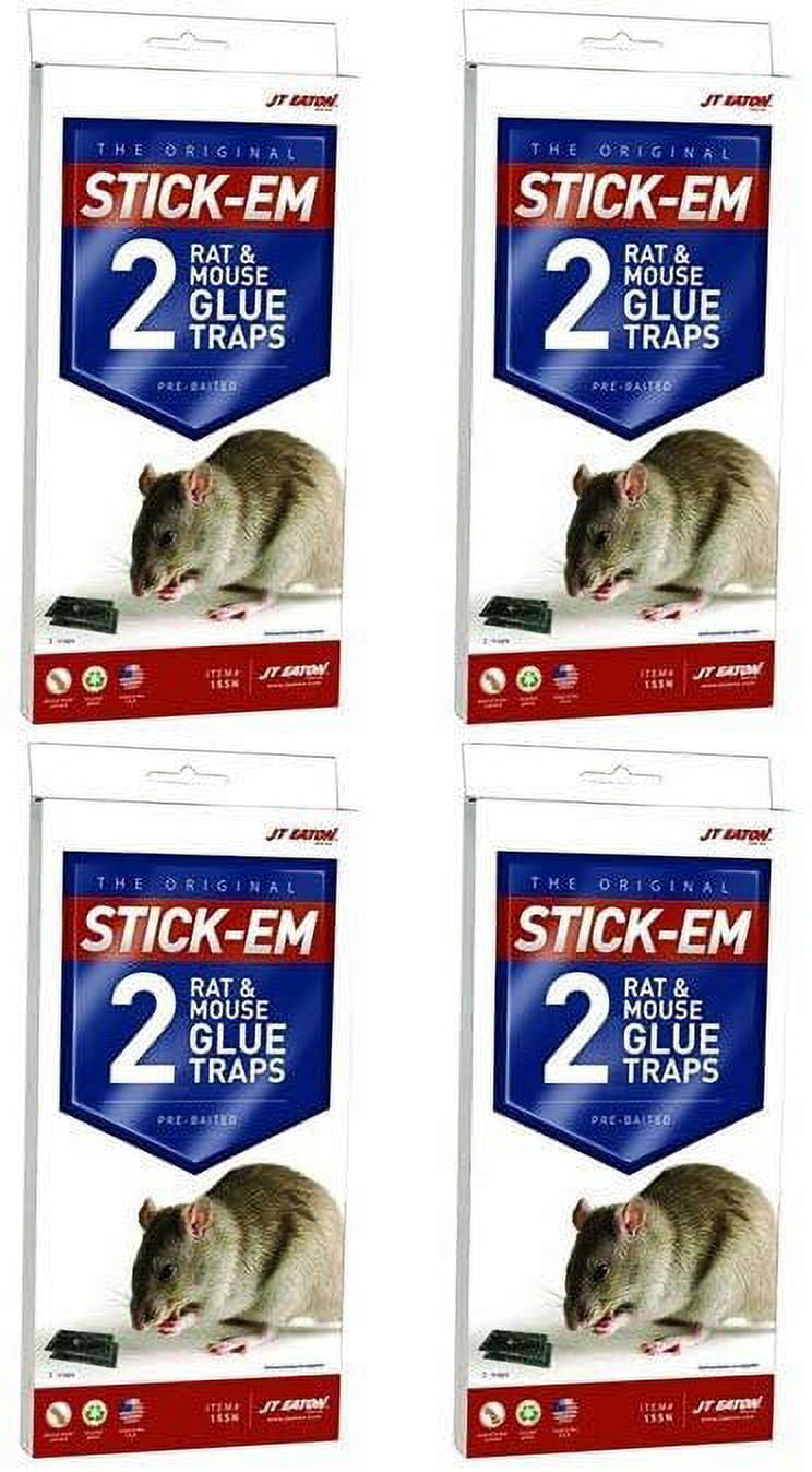 Catchmaster Rat & Mouse Glue Traps 6Pk, Large Bulk Glue Rat Traps, Mouse Traps  Indoor for Home, Pre-Scented Adhesive Plastic Tray for Inside House, Snake,  Mice, & Spider Traps, Pet Safe Pest