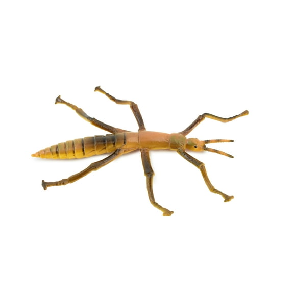 Stick Insect, Phasmatodea, Rubber Insect, Hand Painted, Realistic Toy Figure, Model, Replica, Kids, Educational, Gift, 4 1/2" CH458 BB114
