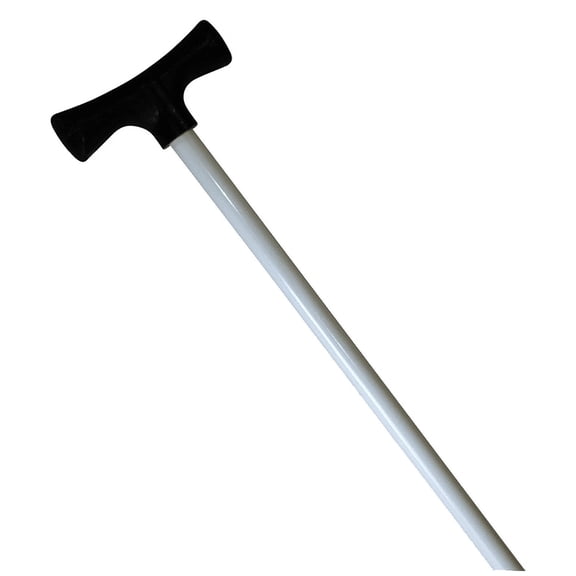 Stick It Anchor Pin for shallow water- 8' White Anchor Pin Only