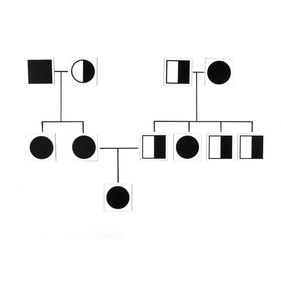 Stick to Science Genetics Cards - Set of 36