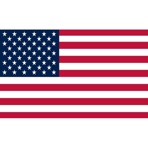 5in x 3in United States Of America Flag Magnet