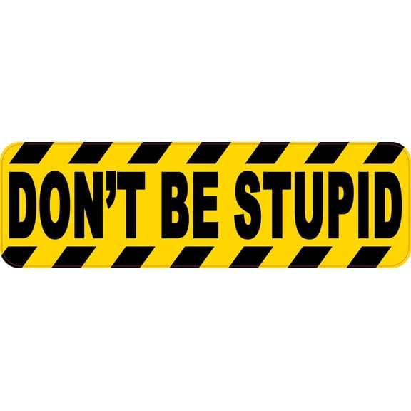 StickerTalk Dont Be Stupid Magnet, 10 inches x 3 inches