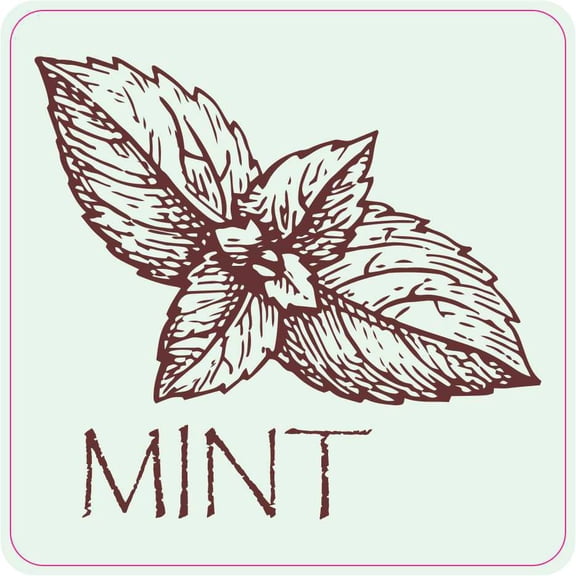 StickerTalk Mint Vinyl Sticker, 3 inches x 3 inches