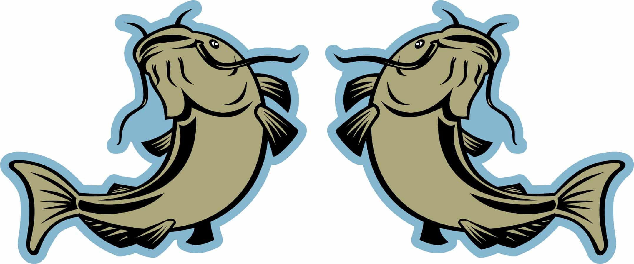 StickerTalk Mirror Image Catfish Vinyl Stickers, 1 sheet of 2 stickers ...