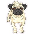 thumbnail image 1 of StickerTalk Pug Vinyl Sticker, 3 inches x 5 inches, 1 of 2