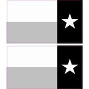 StickerTalk Retreating Black and White Texas Flag Magnets, 1 sheet of 2 stickers, 3.5 inches by 2 inches each