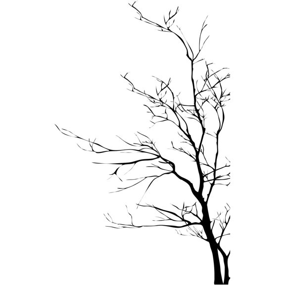 Stickerbrand© Nature Vinyl Wall Art Bare Tree Branch Wall Decal Sticker - Black, 60" x 35". Easy to Apply & Removable.