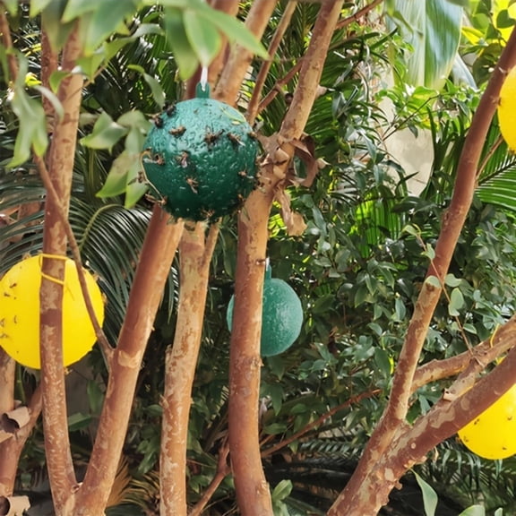 Sticky Insect Trap Ball, Fruit Fly Trap Balls for Outdoor, Non-Toxic Extra Sticky Hanging Bug Ball Catches Flie Gnat Wasps Mosquitoe Flying Insects