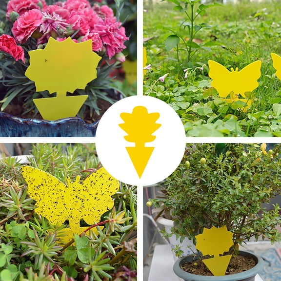 Sticky Trap Paper for Flying Insects Pine Tree Shape Double Sided Adhesive Trap Sheet for Indoor and Outdoor Use 20 Pack
