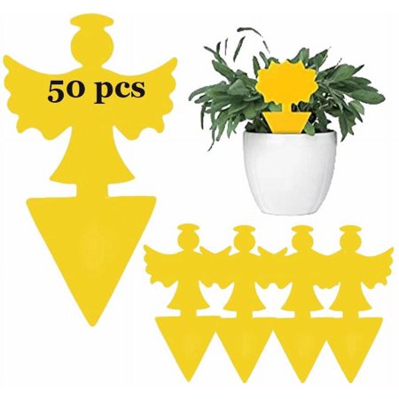Sticky Traps Plant Trap for Fungus Gnat, Fruit Fly Traps for Mosquito and Bug Indoor & Outdoor, Pest Insect Catcher Killer 50 Pack(Angel)