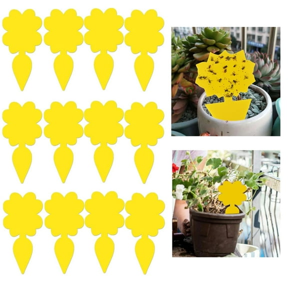 Sticky trap for insect pests on houseplants Flycatcher 12-pack