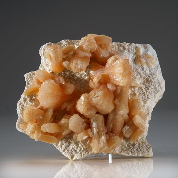 Stilbite on Mordenite from Aurangabad, Maharashtra, India