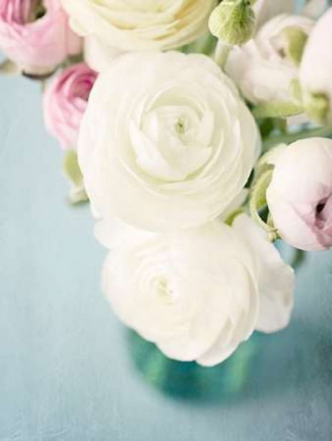 Still Beauty in Pastel 1 Canvas Art - Susannah Tucker Photography (18 x 24)