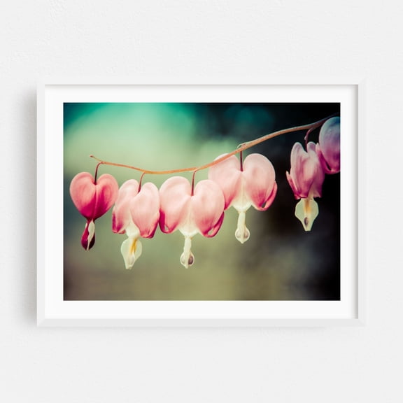 Be Still My Bleeding Heart Colorized Nature Photo - Photography Floral Flowers Botanical Nature Pastel Garden Vintage White Framed Wall Art Print 5 x 7 inches