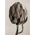 thumbnail image 1 of Still Life Artichoke Print Wall Art, Modern Wall Decor For Living Room Bedroom, 24x36 UNFRAMED, 1 of 2