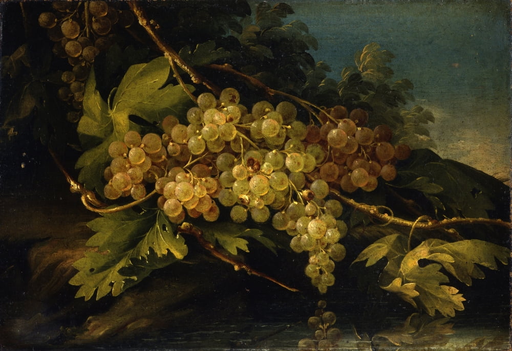 Still Life Canvas Art - (24 x 18)