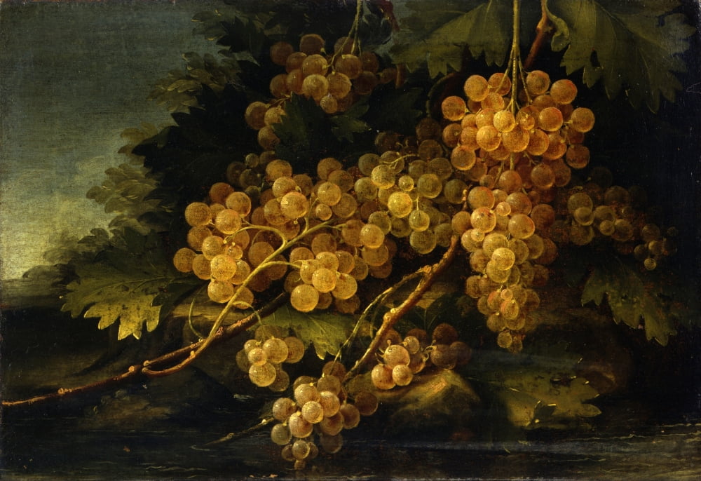 Still Life Canvas Art - (36 x 24)
