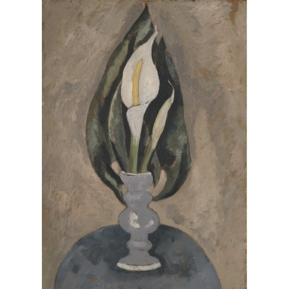 Still Life No. 16 Fine Art (24 x 36)