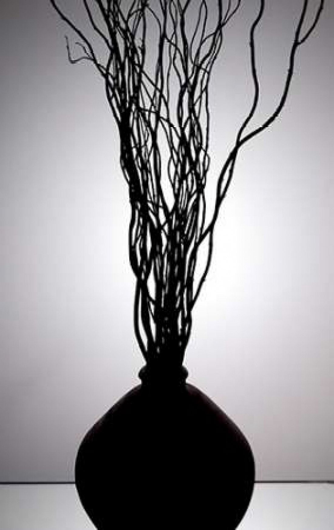 Still Life Silhouette I Canvas Art - Monika Burkhart (12 x 18)