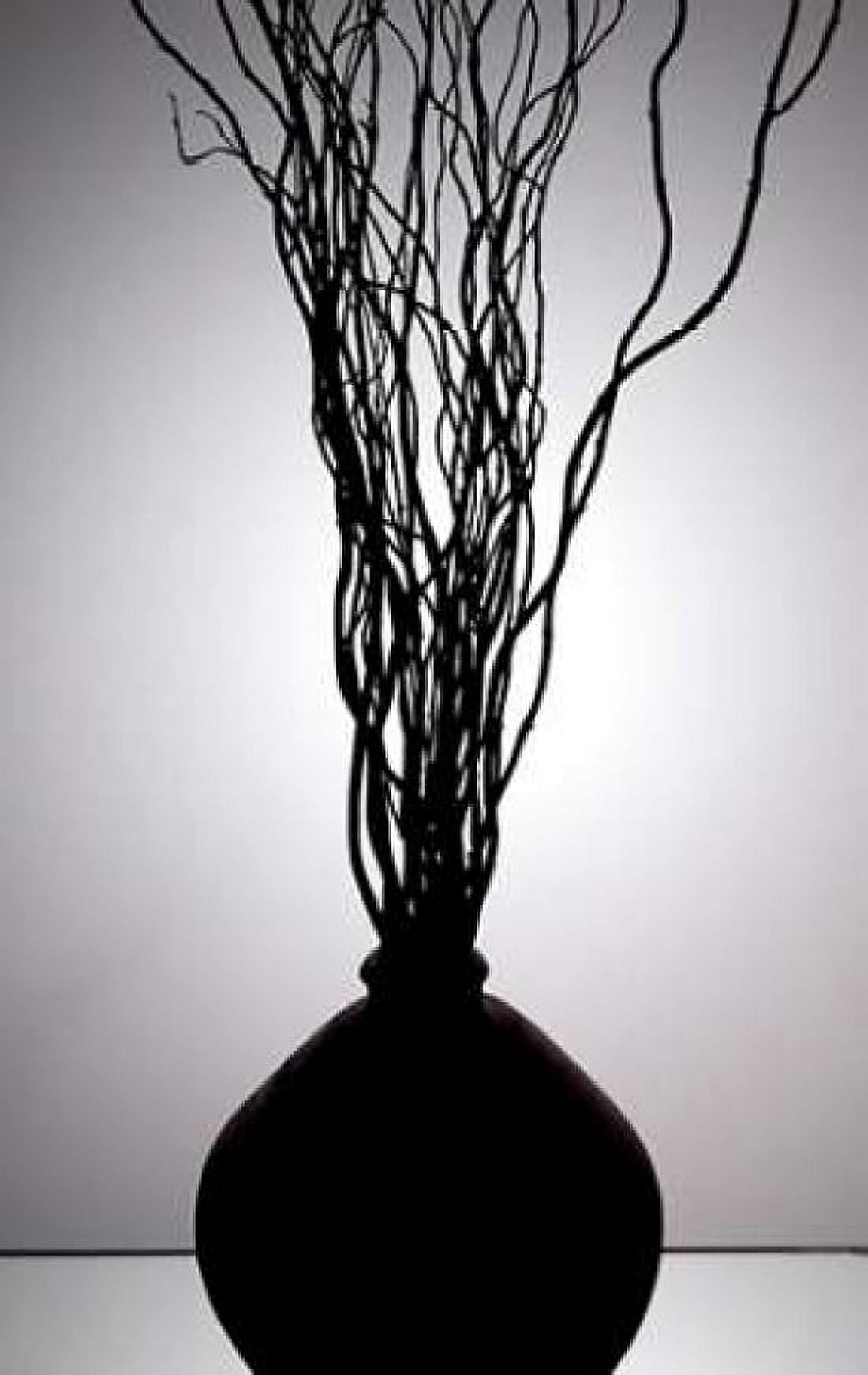 Still Life Silhouette I Canvas Art - Monika Burkhart (24 x 36)