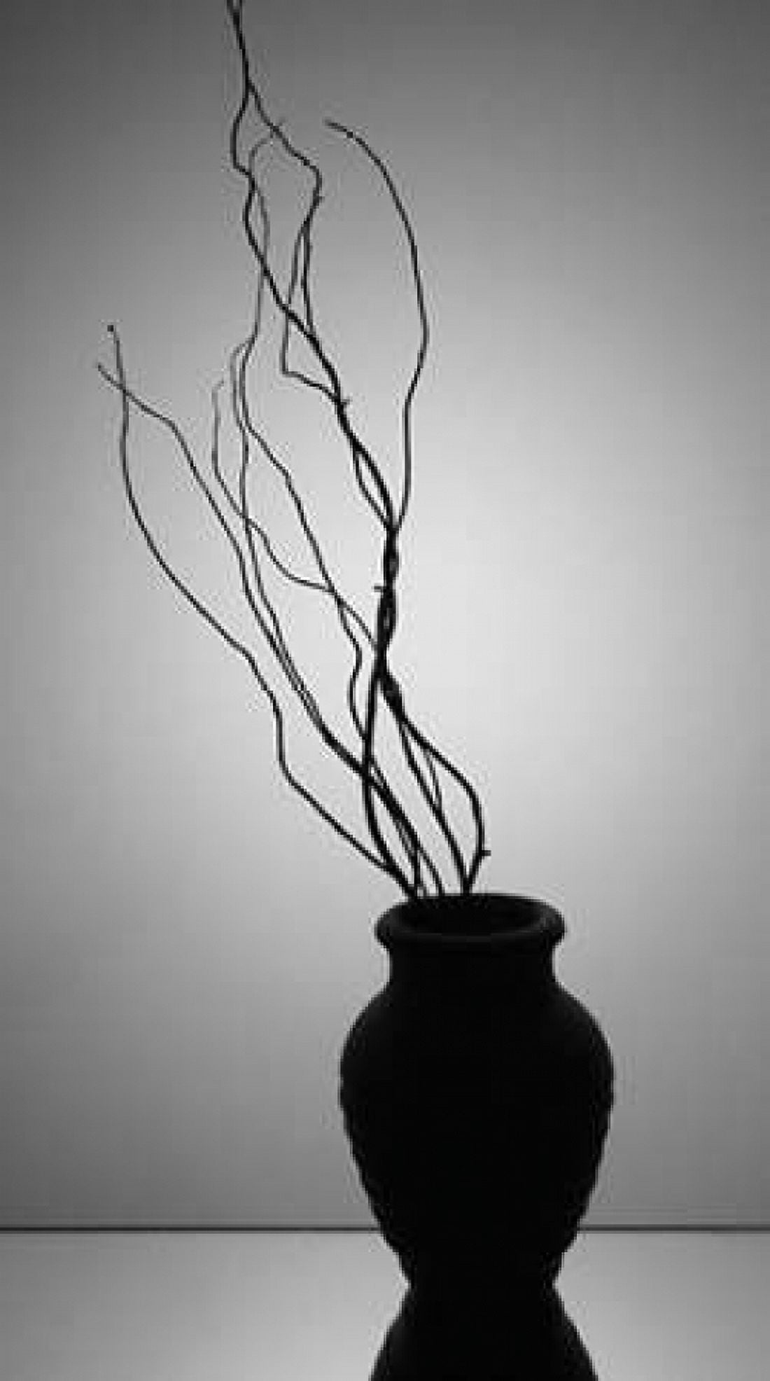 Still Life Silhouette II Canvas Art - Monika Burkhart (12 x 18)