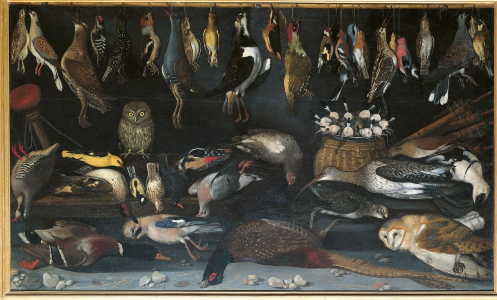 Still Life With Birds Canvas Art - (24 x 18)