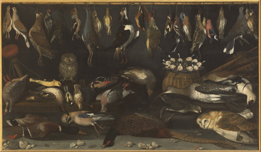 Still Life With Birds Canvas Art - (36 x 24)