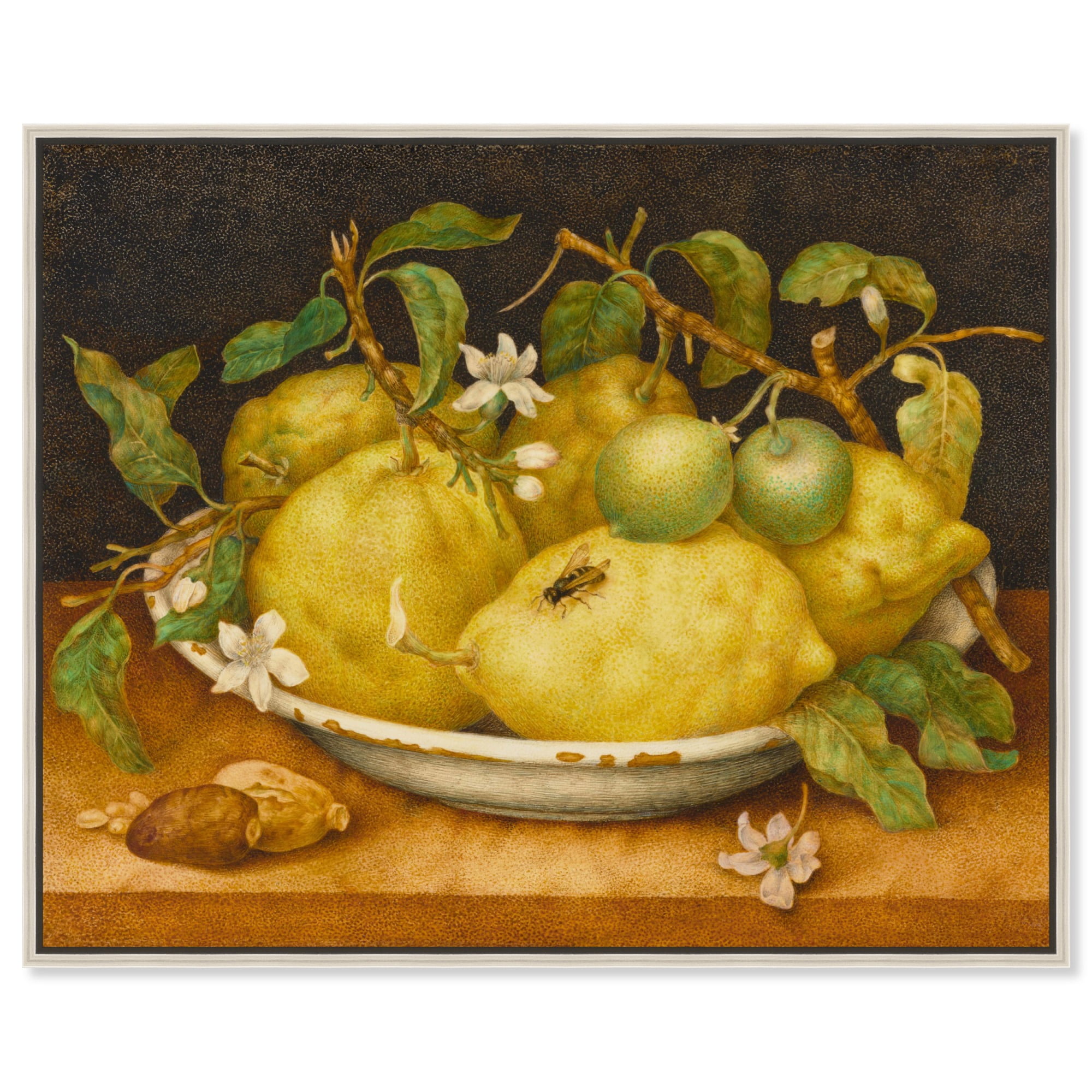 Vintage Still Life Citrons Canvas Art with Silver Frame