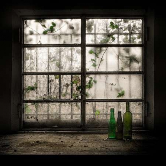 Still-Life With Glass Bottle Canvas Art - Vito Guarino (24 x 24)