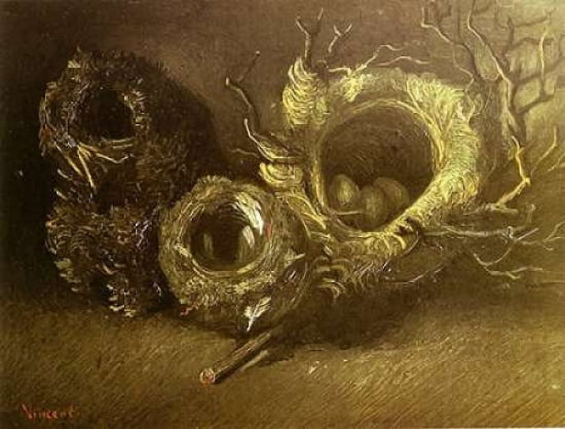 Still Life With Three Birds Nests Canvas Art - Vincent Van Gogh (18 x 24)