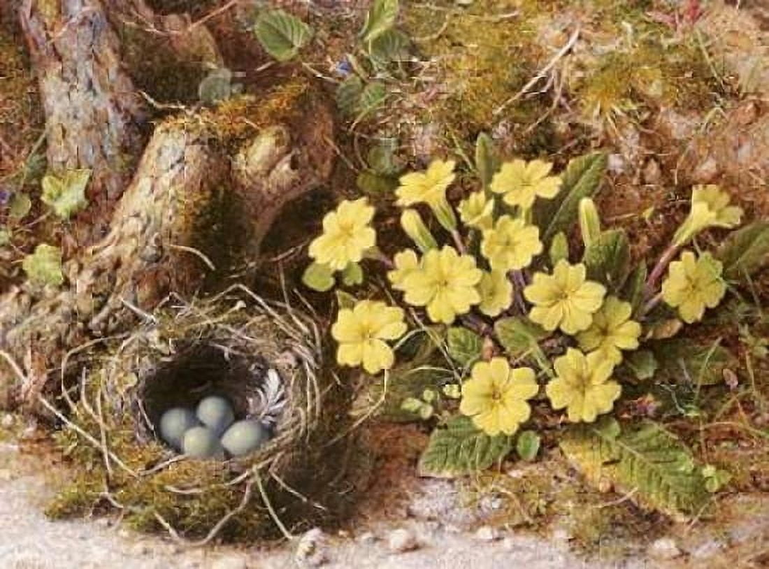 Still Life With a Birds Nest Canvas Art - William B Hough (18 x 24)
