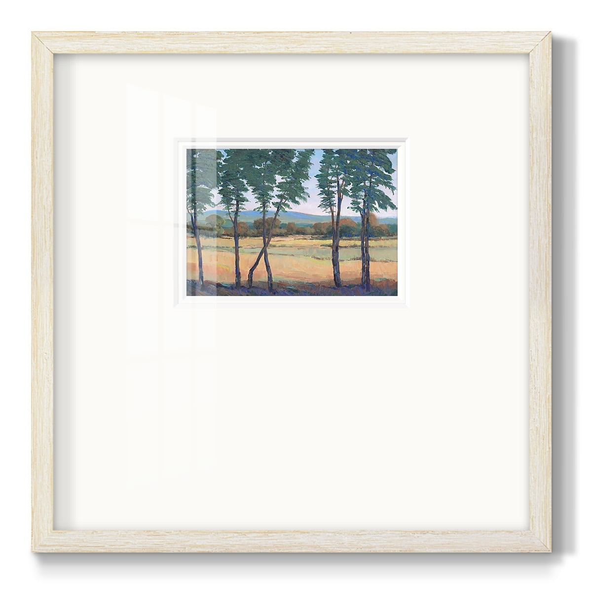 Still Morning IPremium Framed Print