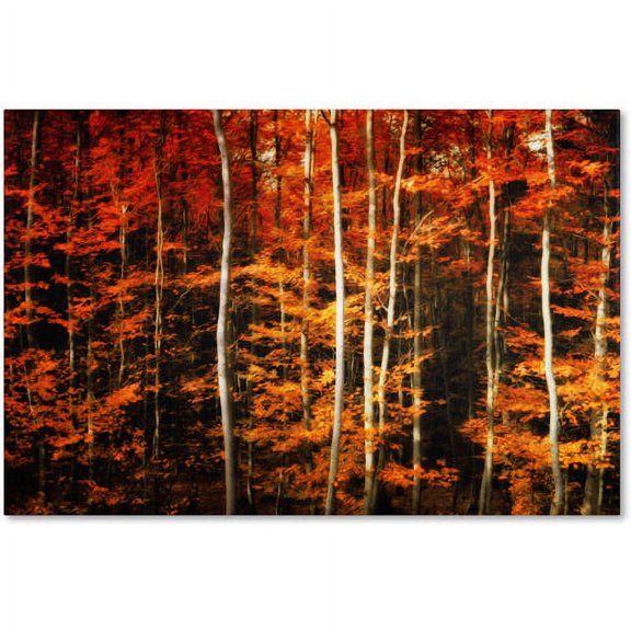 "Still Painting" Canvas Art by Philippe Sainte-Laudy