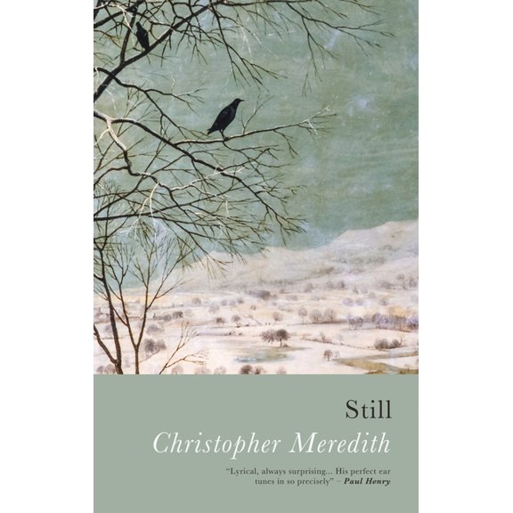 Still, (Paperback)