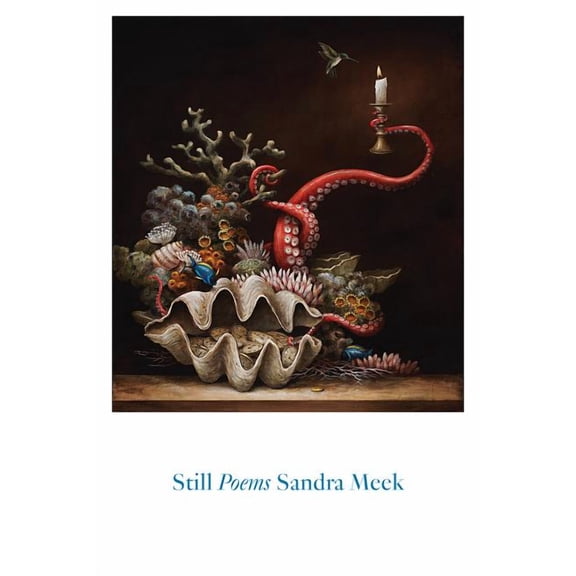 Still: Poems (Paperback)
