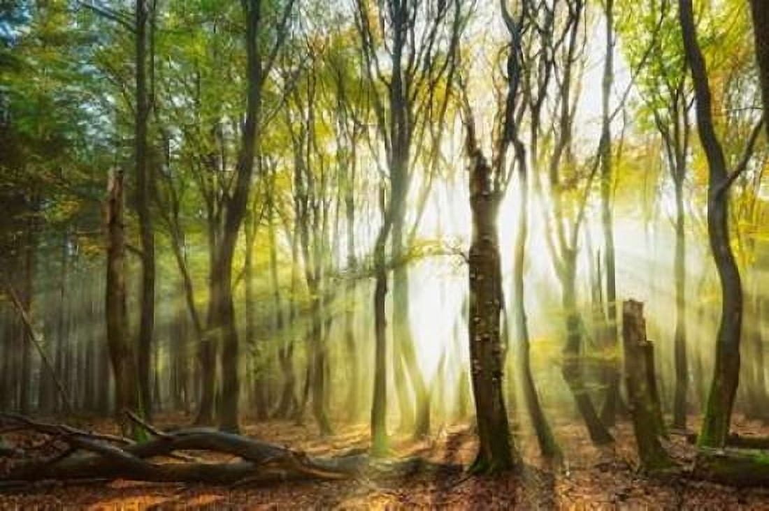 Still Standing Canvas Art - Lars Van de Goor (12 x 18)
