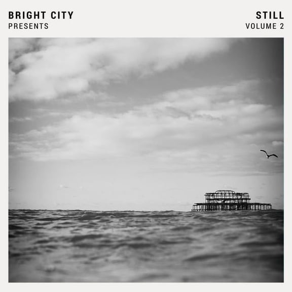 Still Volume 2 (Audiobook)