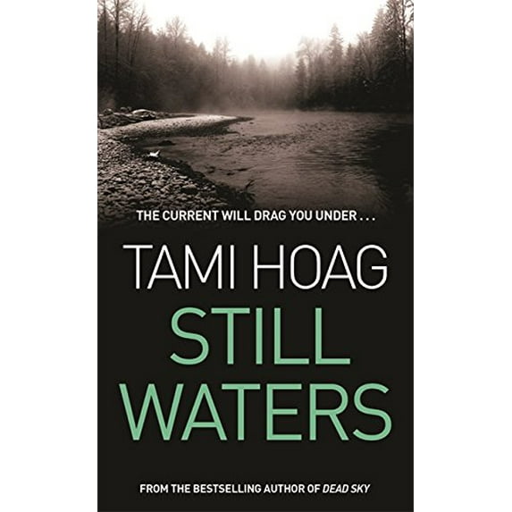 Pre-Owned Still Waters (Hardcover) 0752837680 9780752837680
